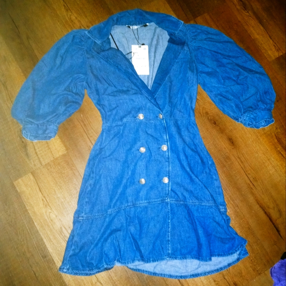 Zara dress